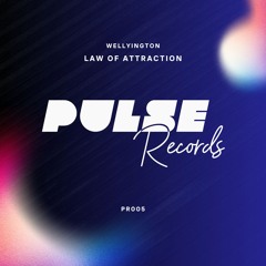 Law Of Attraction (Original Mix)