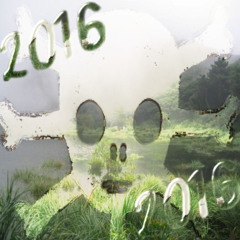 cachalot - ONDA ANDAR 2016