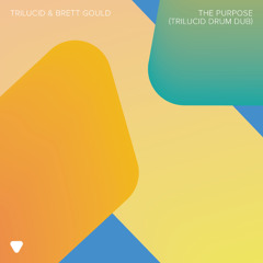 Trilucid & Brett Gould - The Purpose (Trilucid Drum Dub)