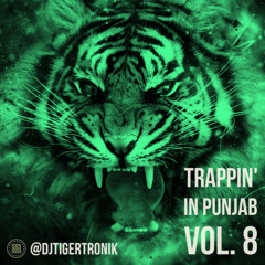Trappin' in Punjab Vol. 8 | Party Mix | TIGERTRONIK