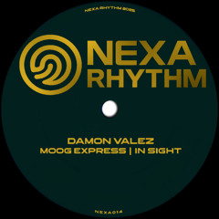Damon Valez - in Sight (Original Mix) NEXA014 | RD 19.12.2025