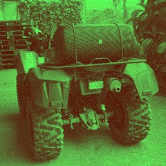 Amazon raveforest *•̀‿•́*