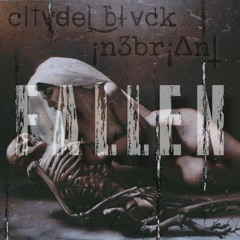 FALLEN (¡n3br¡Δn†  X  c|†v̵d̴e|̧ ͜b̀|̶v̵ck)