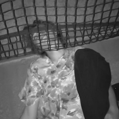 اجاني شامت عود عراقي