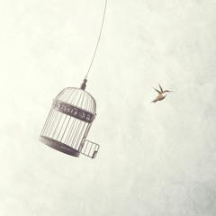 Inno (fran&co's Lift Me Higher Edit)