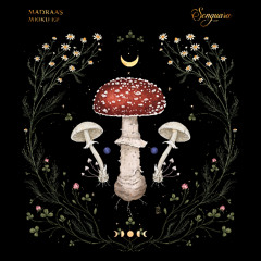 Madraas - Drift Visions (Extended Mix) [Songuara]