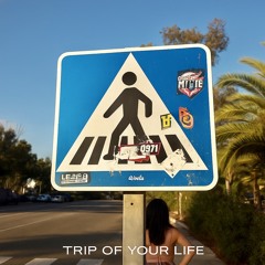 Trip of Your Life