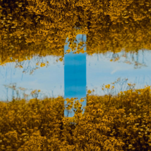 World Of Reflections (Mitch De Klein Remix)