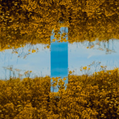 World Of Reflections (Mitch De Klein Remix)