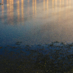 Reborn - WIP Original 110625