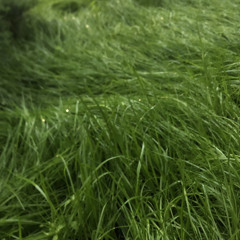 unit boy - broke (speed up)