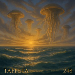 TAFFETA | 248