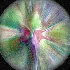 Red Poll Cattle Come to Forty Hall