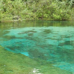 Wild Ones - Ash Hill (Remix)