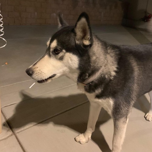 Dope Fein Friday [JoKezzz Mixx]