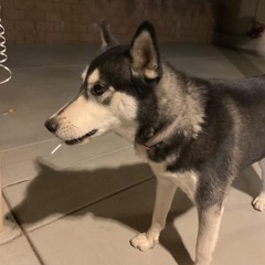 Dope Fein Friday [JoKezzz Mixx]