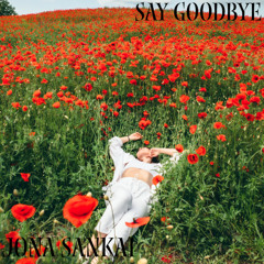 Say Goodbye (Prod. Riddiman)