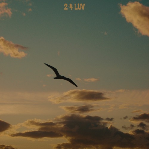 2•4 LUV