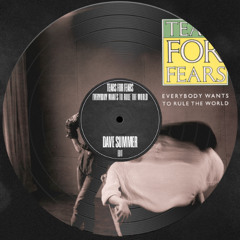 Tears For Fears - Everybody Wants To Rule The World (Dave Summer Edit)