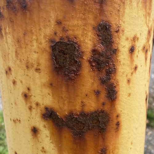 rotten cycle extract