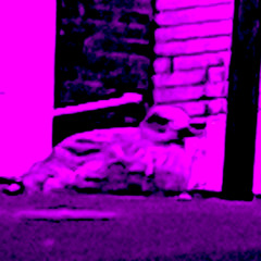 actually it was july