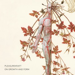 Pleasurekraft - On Growth and Form [album - 2024]