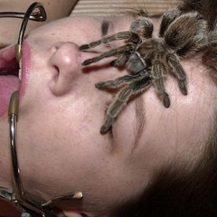 imnotmelrose - jezebel type (babatobi jayms kyuuro)