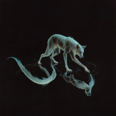 Wolf In My Clothes EP