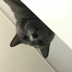 젬스톤 - 너를 만나 (cover)