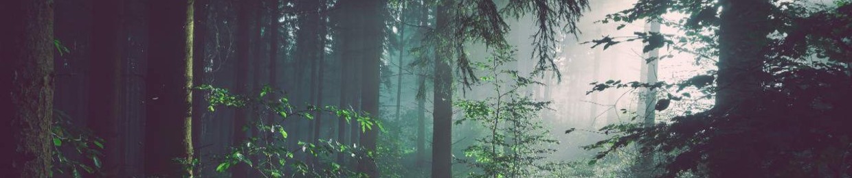 𝘿-𝙢𝙖𝙣𝙩𝙞𝙣𝙞𝙨𝙨