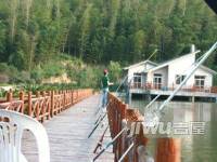 天淼山庄公寓效果图