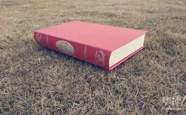 故意追尾保险公司赔吗