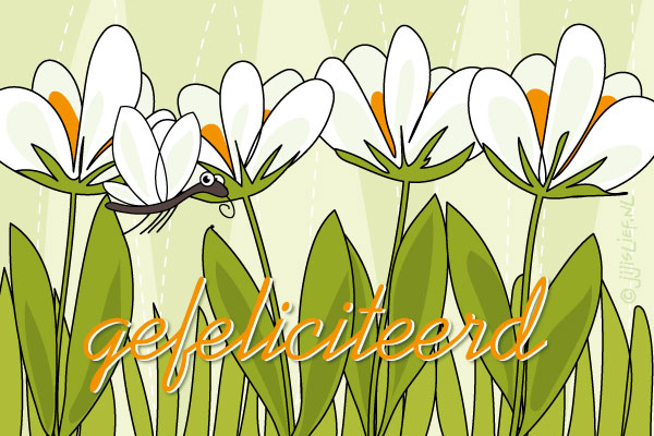 Kaart: Gefeliciteerd