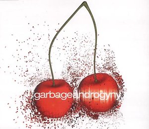 ANDROGYNY cover art