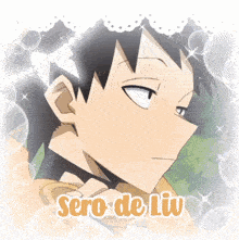 a picture of a boy with the name sero de liu written on it
