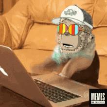 a monkey wearing sunglasses and a hat is using an apple laptop