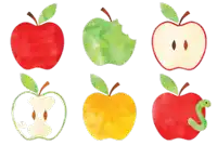 a red apple with a bite taken out of it sits next to a green apple and a yellow apple