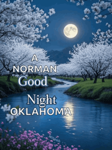 a norman good night oklahoma poster with a river and flowers