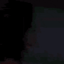 a woman wearing sunglasses is looking at the camera .