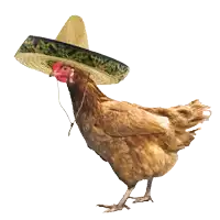 a chicken wearing a sombrero with a string around its neck