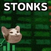 a picture of a cat with the words stonks on it