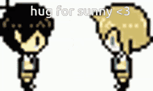 two pixel art characters are standing next to each other with the words hug for sunny < 3 written on the bottom .