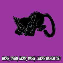 a black cat is surrounded by lightning and the words very very very very lucky black cat