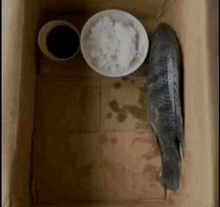 a bowl of rice next to a bowl of sauce and a fish