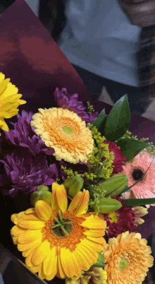 a person is holding a bouquet of flowers including yellow and purple daisies