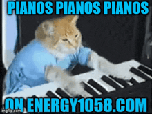 a cat in a blue shirt is playing a piano with the caption pianos pianos pianos on energy1058.com