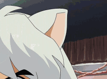 a close up of a cat 's ear with a rope in the background