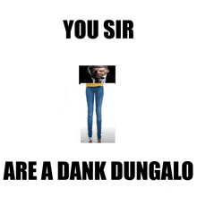 a picture of a man in a suit and tie with the words you sir are a dank dungalo below it