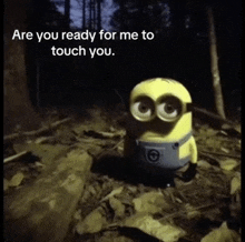 a picture of a minion with the words " are you ready for me to touch you "
