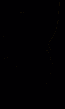 a woman wearing a choker looks at the camera